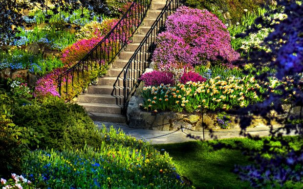 Download Garden Images HD.