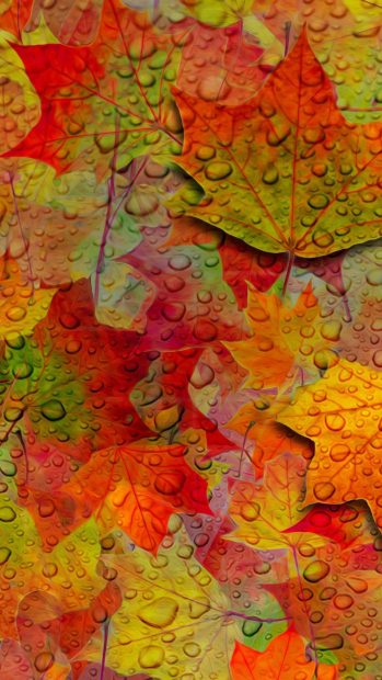Fall Leaves Wallpaper for Android.