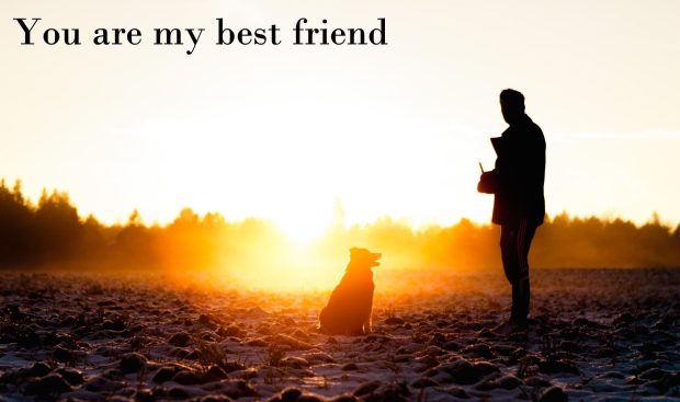 Free Download Best Friend Backgrounds.