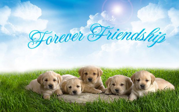 Free Download Friendship Forever Picture.