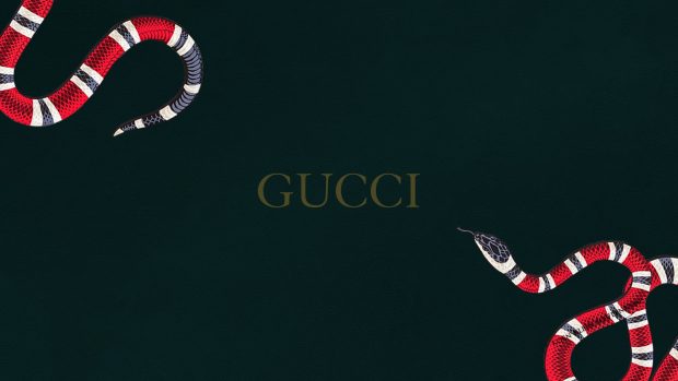 Free Download Gucci Snake HD Wallpaper Computer.