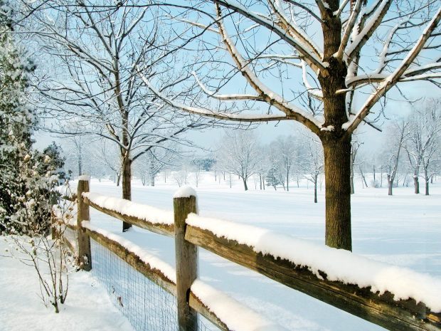 Free Download Pretty Winter Pictures HD 1080p.