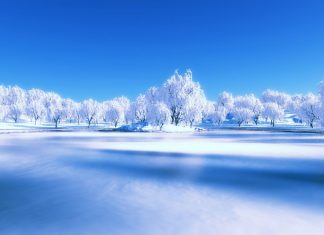 Free Download Pretty Winter Pictures HD for Windows.