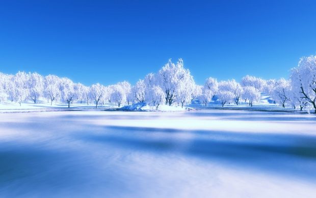 Free Download Pretty Winter Pictures HD for Windows.