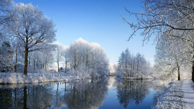 Free Download Pretty Winter Pictures for Desktop.