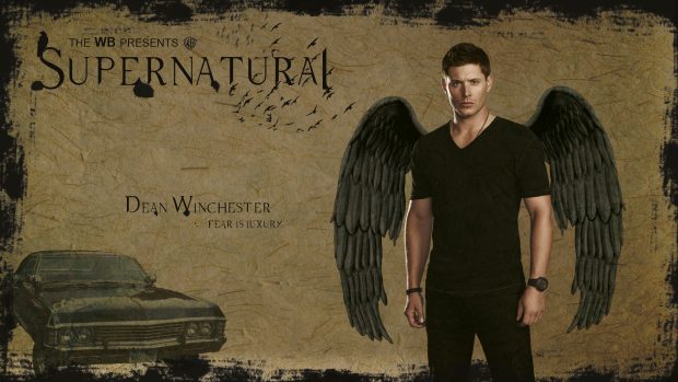 Free Download Supernatural Backgrounds.