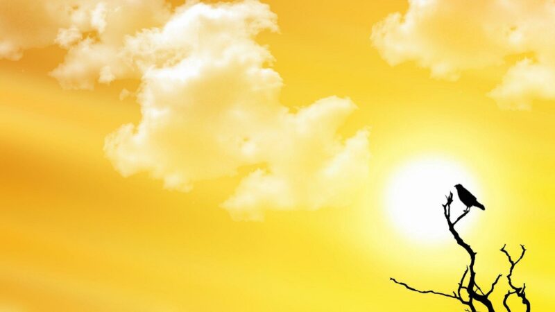 Yellow Desktop Backgrounds - PixelsTalk