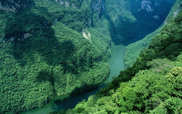 Cañón del Sumidero.