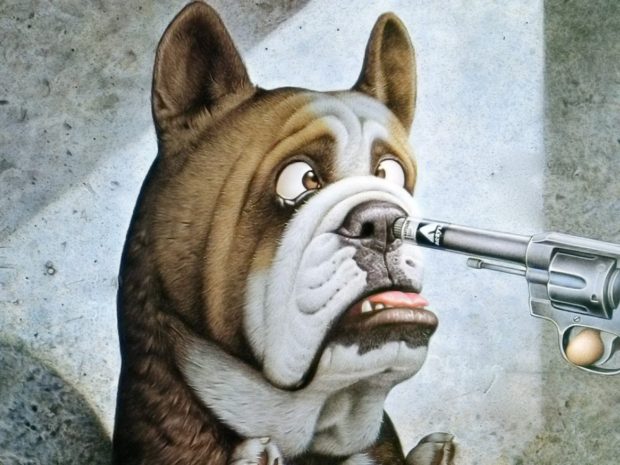Funny Dog Pistol Wallpaper.