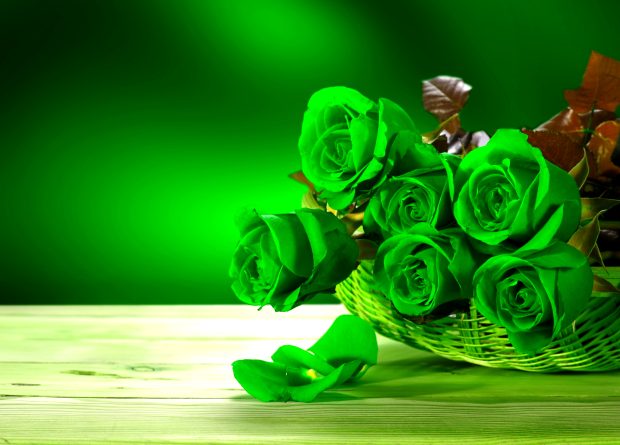 Green Rose Photos Backgrounds Widescreen.