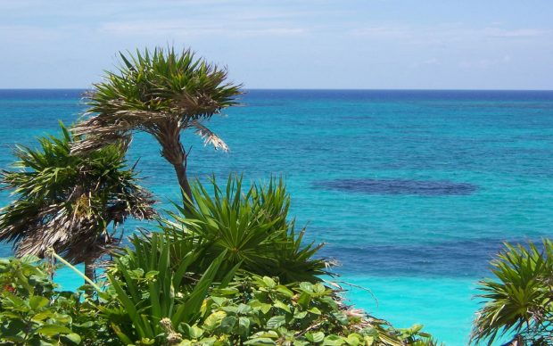 HD wallpaper tulum beach mexico.