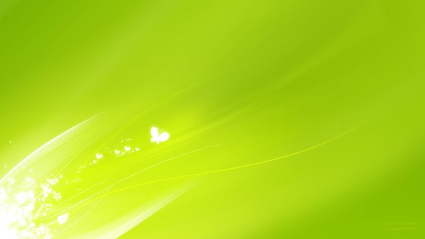 Hd Light Green Wallpapers.