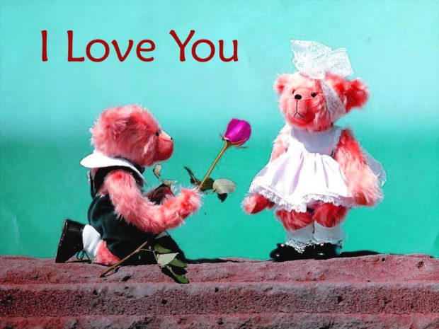 I Love You Teddy Bear HD Wallpapers.