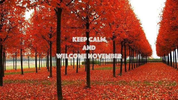 Keep Calm and Welcome November Image.