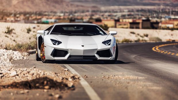 Lamborghini Aventador White Front View Wallpapers 1920x1080.