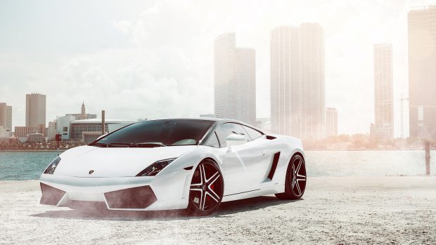 Lamborghini Gallardo White HD.