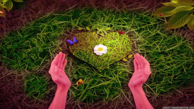 Natural love heart wallpapers 2560x1440.