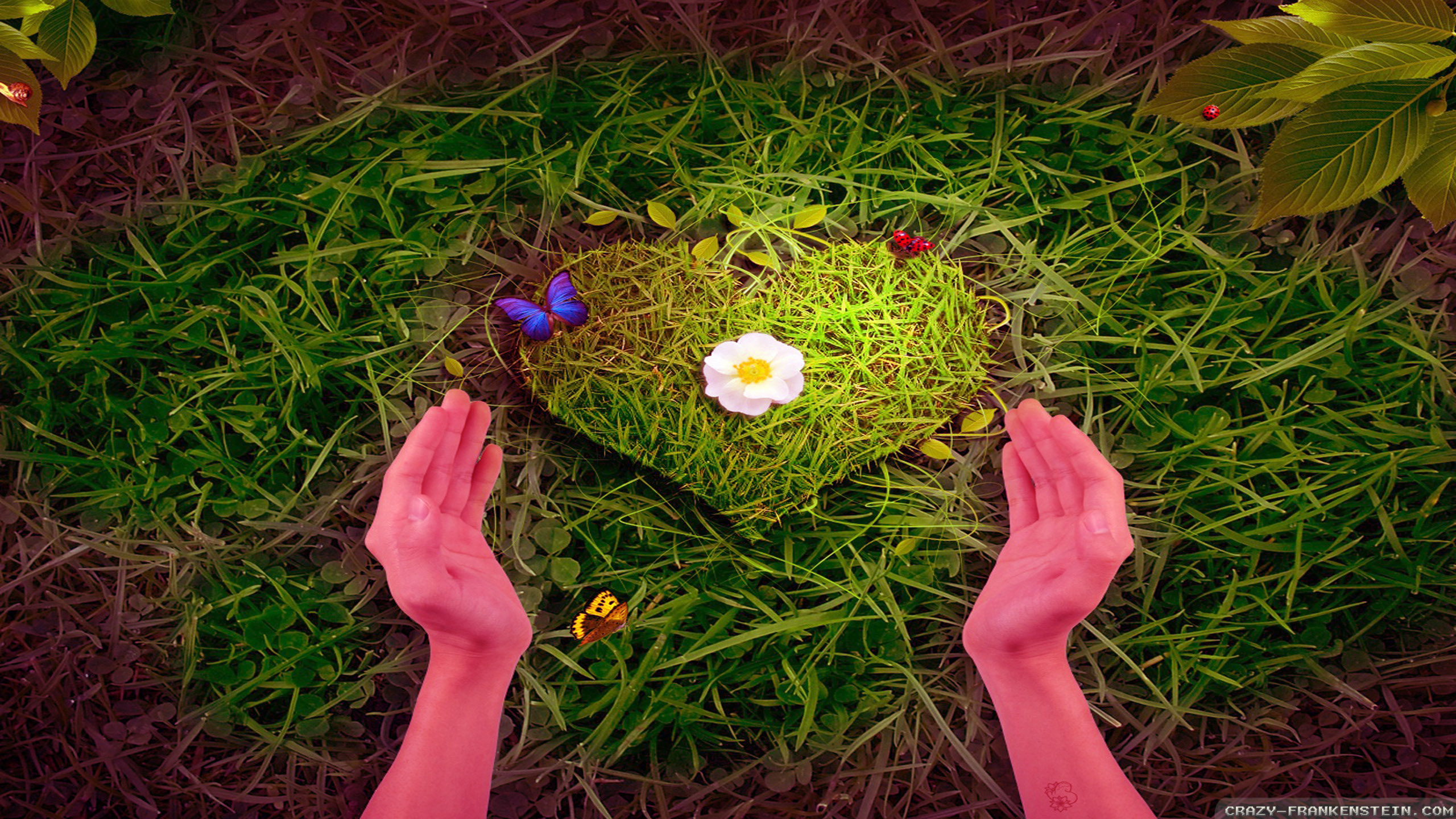 Featured image of post Full Hd Love Wallpaper Nature / We've gathered more than 5 million images uploaded by our users and sorted them by the most popular ones.