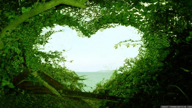 Nature Love Wallpaper HD Free download.