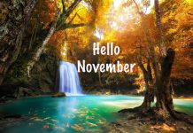 November Background for Iphone.