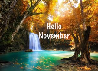 November Background for Iphone.