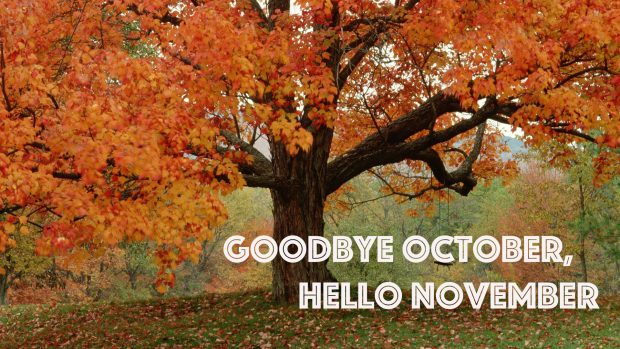 Goodbye October, Hello November.