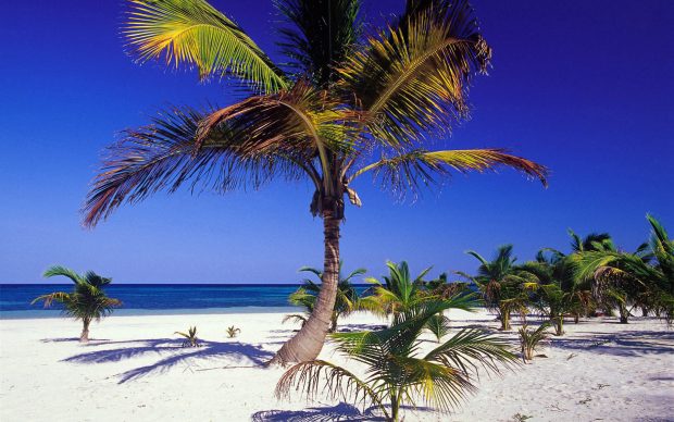 Playa Akumal, YucatÃ¡n.