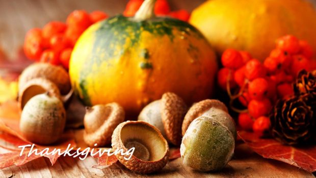 Photo Thanksgiving Backgrounds Free Download.