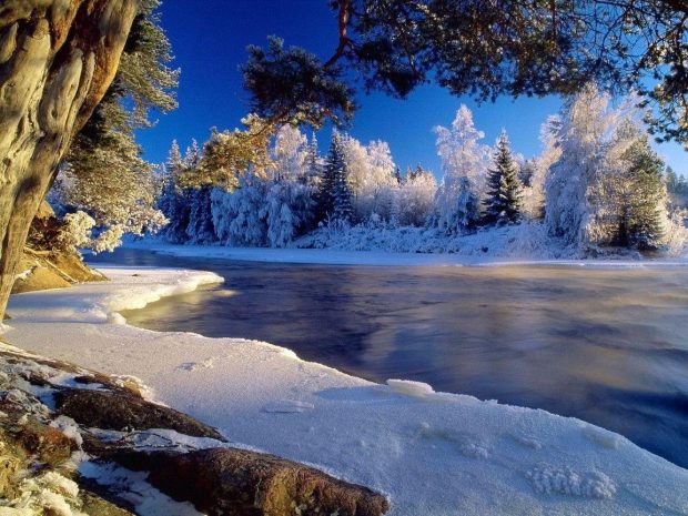 Pretty Winter Art Photo.