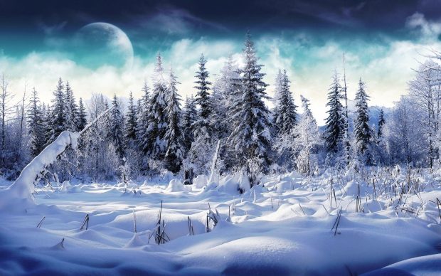 Pretty Winter Pictures HD Free download.