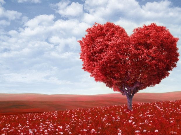 Red Nature Tree Love Wallpapers HD.