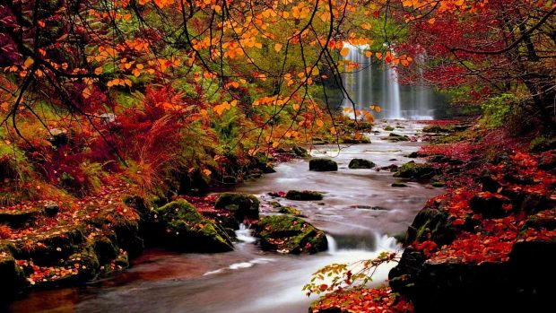Romantic Fall Images.