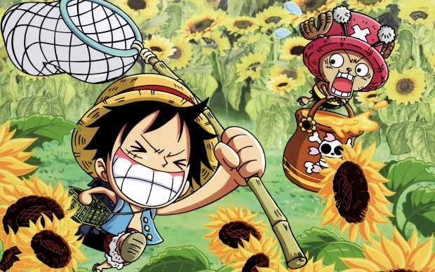 Screen Luffy One Piece Wallpapers.
