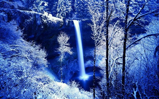 Snow Falls Winter Nature Wallpaper.