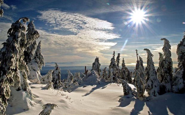 Sun Winter Nature Wallpaper.