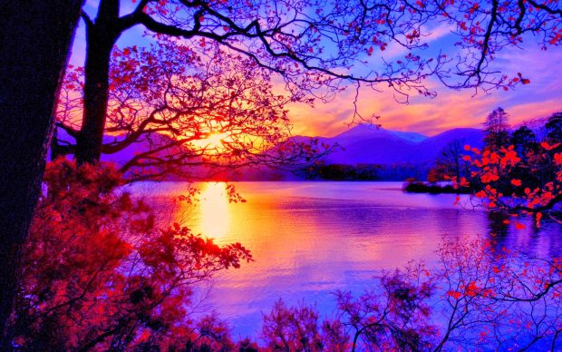 Sunset Scenery HD Wallpaper.