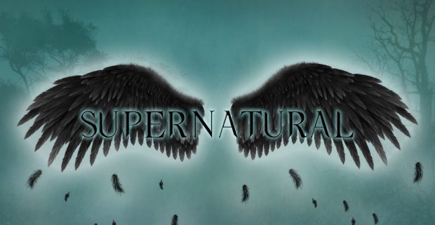 Supernatural The Fallen Angel Wings Wallpapers HD.