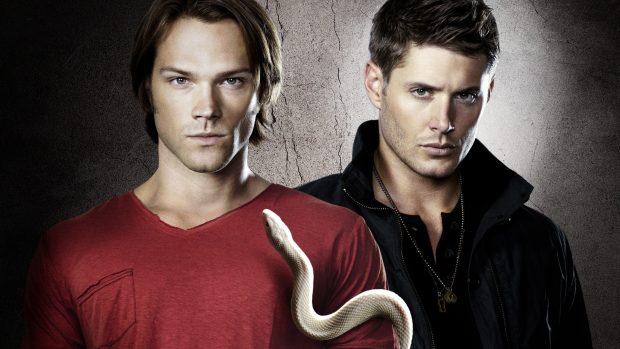 Supernatural Wallpapers Snake.