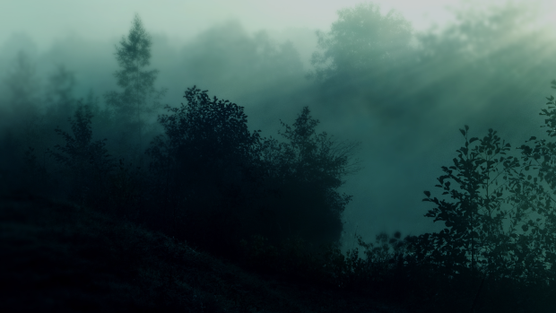Teal wallpapers HD dark forest.