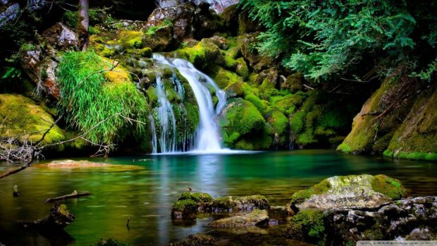 Waterfall Scenery HD Wallpaper.