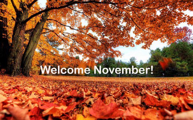 Welcome November Image.