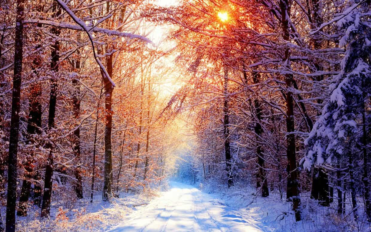 Winter Desktop Wallpapers - PixelsTalk
