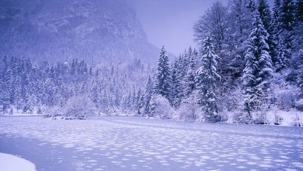 Winter Desktop Wallpaper HD 1080.