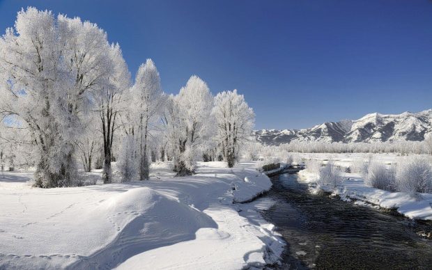 Winter Nature Art Photo.