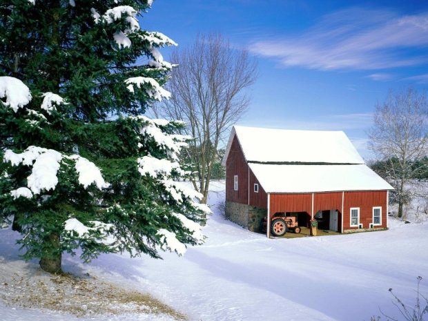 Winter Nature House Snow Art Image.