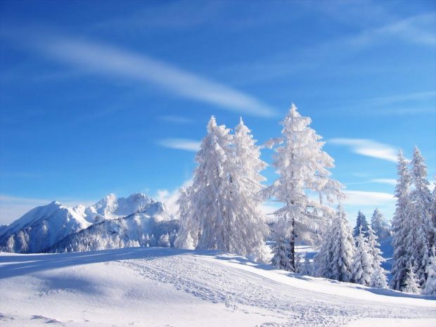 Winter Nature Wallpaper HD Free download.