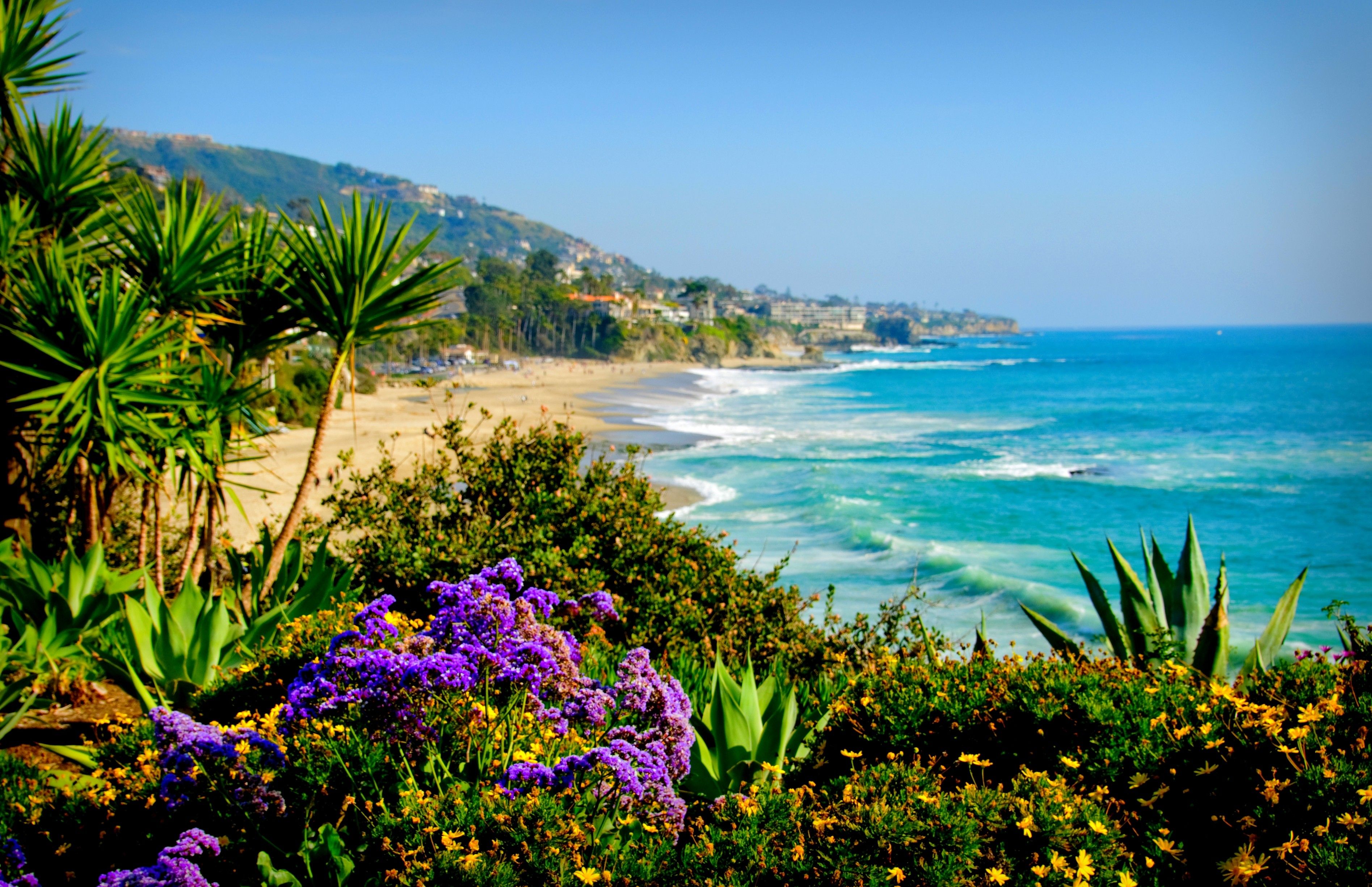 Top more than 80 california beach wallpaper super hot - in.coedo.com.vn