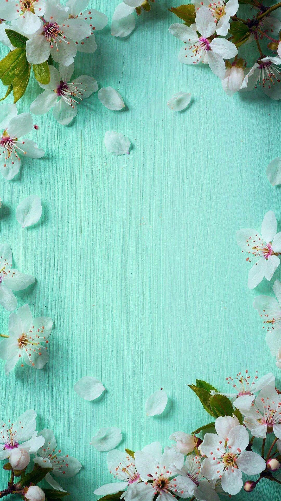 Download Look Cute This Spring with an iPhone Wallpaper  Wallpaperscom
