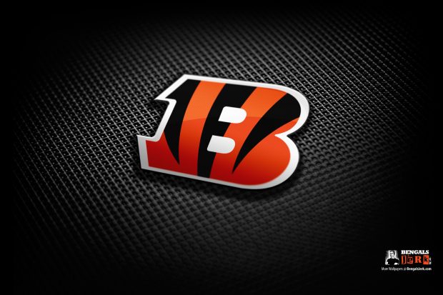 CINCINNATI BENGALS nfl football Logo Wallpaper.