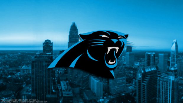 Carolina Panthers 2019 football NFL logo wallpaper.